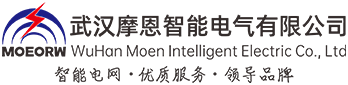 武汉摩恩智能电气有限公司(泛克斯特品牌)官网