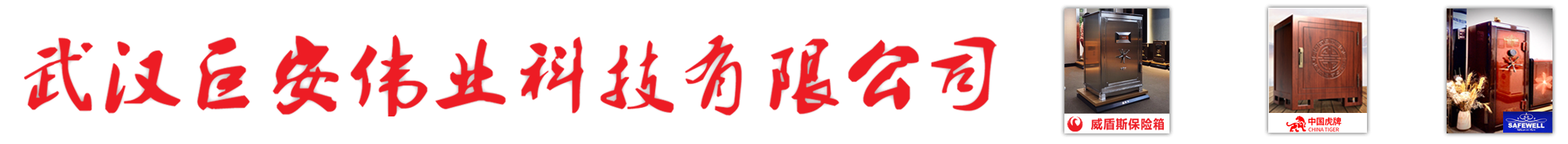 武汉巨安伟业科技有限公司