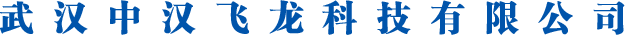 武汉中汉飞龙科技有限公司