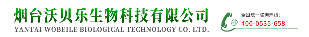 硅肥