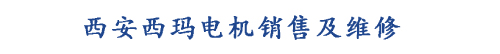 西安西玛卓亚电机设备有限公司