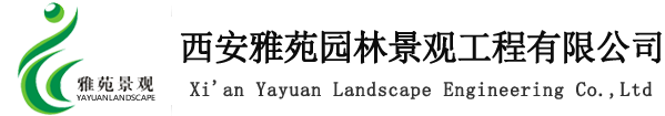 西安透水混凝土地坪、压印地坪、彩色透水露骨料地坪