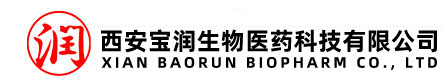 西安宝润