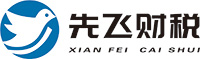 深圳市先飞财税咨询有限公司