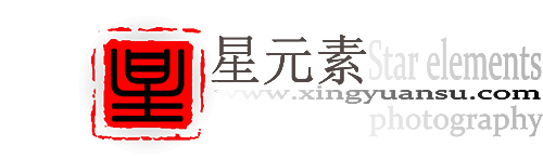 上海