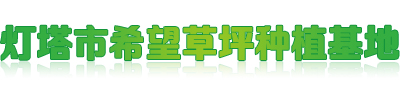 灯塔市希望草坪种植基地
