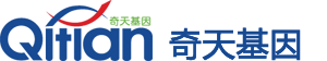 南京网络公司