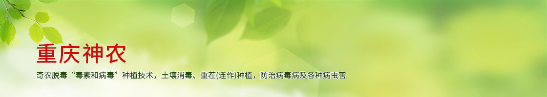 重庆神农科技开发有限公司[官网],奇农素,奇农技术,圣农素,神农素,咨询电话：023