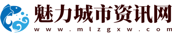 魅力城市资讯网
