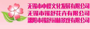 樱花品种,樱花种苗,锡舒花卉,中樱文化发展有限公司