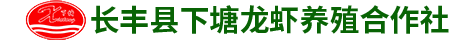 下塘龙虾