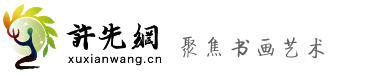 许先网