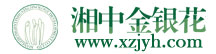 金银花苗木金银花烘干机械金银花茶金银花回收
