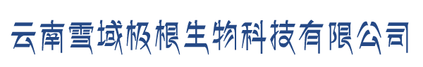 西藏雪树根