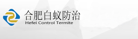 合肥市白蚁防治中心