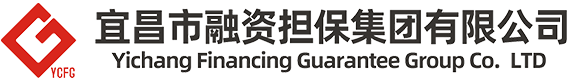 宜昌市融资担保集团有限公司官网