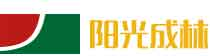 建筑模板厂家
