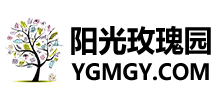 阳光玫瑰园