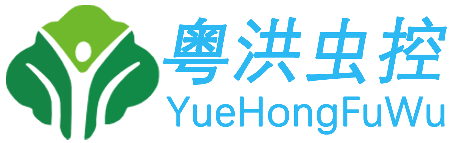 粤洪虫害防治服务，您身边的除虫专家