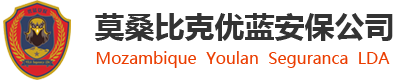 优蓝安保
