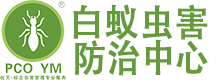 首页