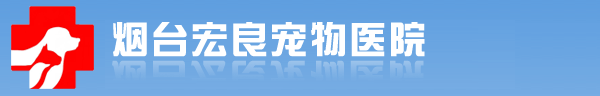烟台开发区宠物医院