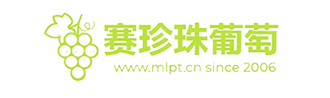 南汇玉菇甜瓜网