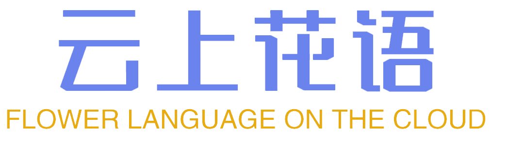 云上花语花卉