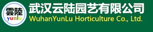 武汉云陆园艺有限公司武汉鲜花绿植盆栽送货上门，武汉吸甲醛，防辐射，净化空气的植物盆栽，武汉花卉盆栽租摆，武汉植物租赁送货到门