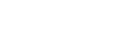星辰飞鱼