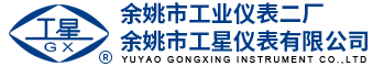 余姚市工星仪表有限公司