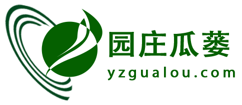 首页