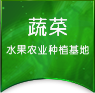 瓜果蔬菜农业种植基地网站模板
