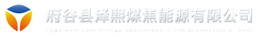 府谷县泽熙煤焦能源有限公司