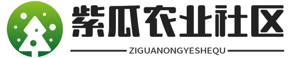 茶叶知识大全