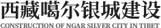 西藏噶尔银城建设