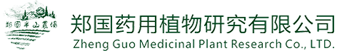 牡丹籽油