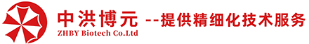 动物造模