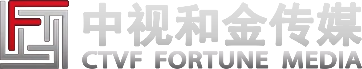 中视和金传媒