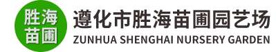 唐山苗圃基地