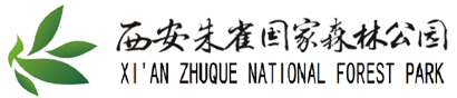 西安旅游