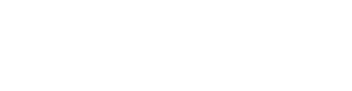 中环政研
