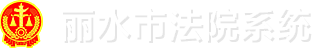 丽水全市法院网站系统