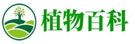 植物百科
