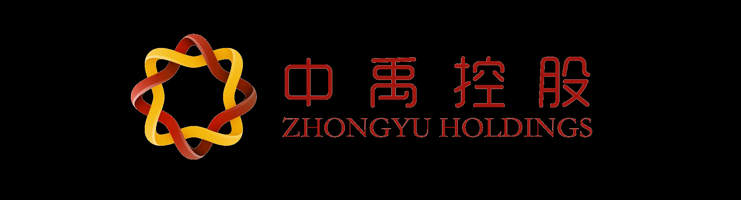 中禹控股