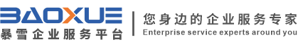 暴雪企业服务平台