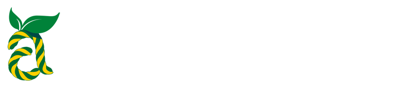 小安时尚观察网