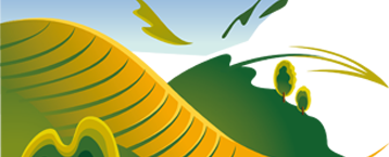 首页
