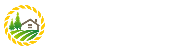 智卓淘金记