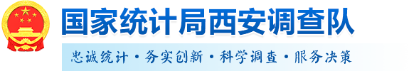 国家统计局西安调查队